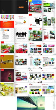 广告公司画册设计与软件开发 融合创意与技术的完美结合